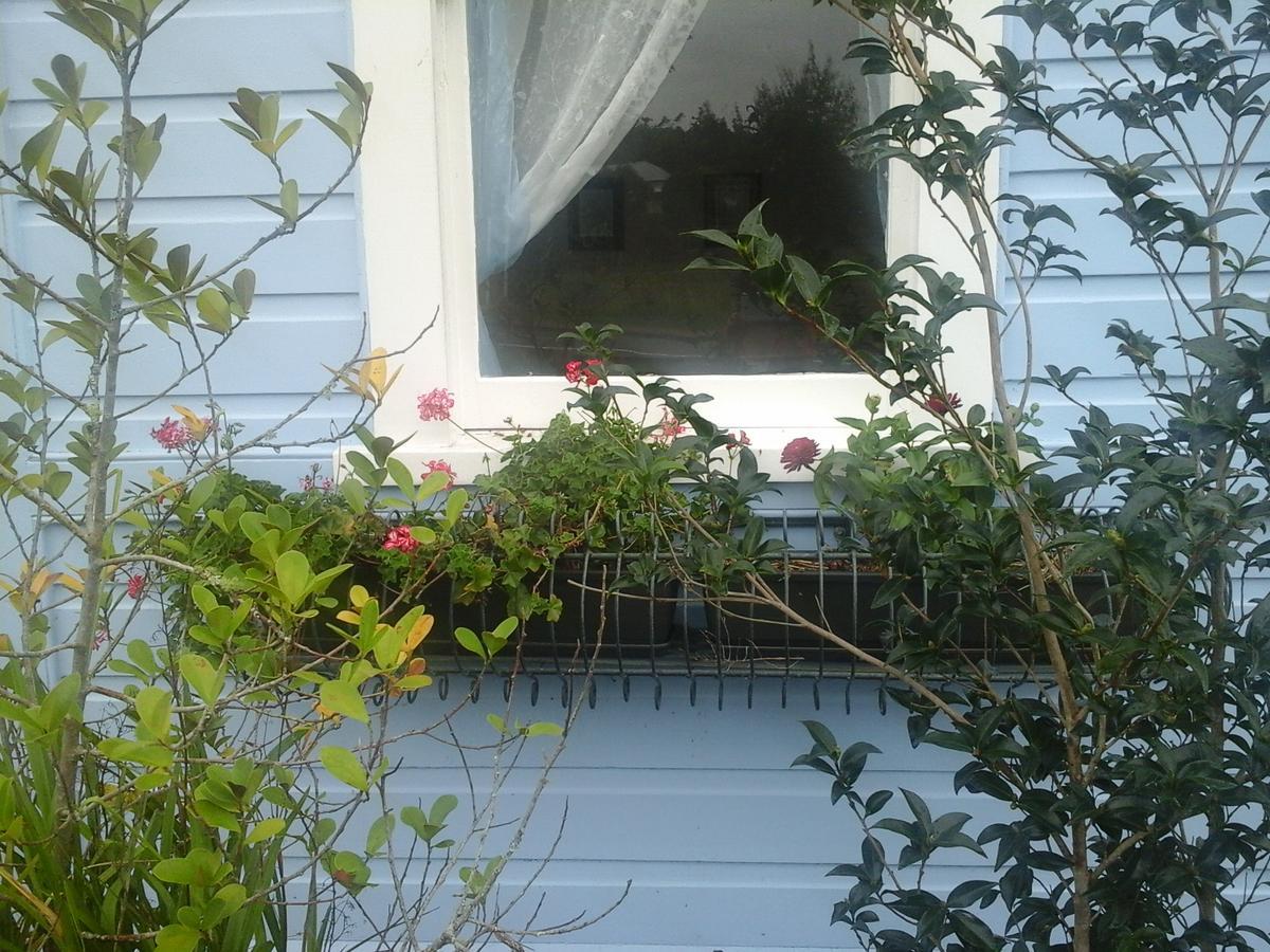 The Old Post Office Guesthouse B&B Paparoa Eksteriør billede